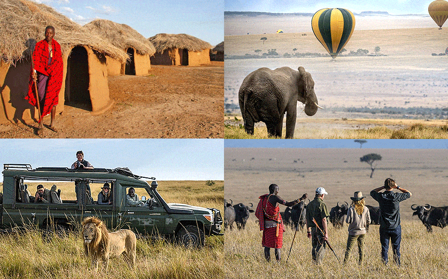 Conservation and Wild life