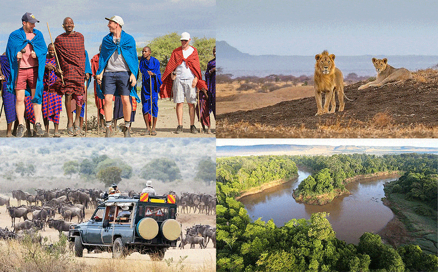 Conservation and Wildlife