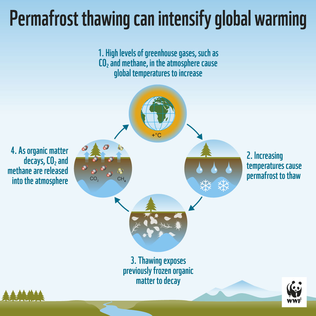 How Methane Emissions are affecting climate
