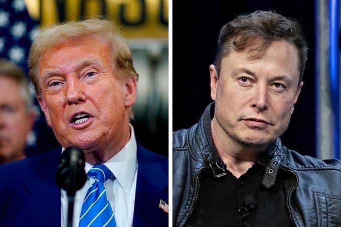 musk and trump