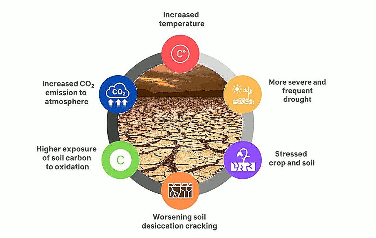 Carbon Soil release affecting climate change