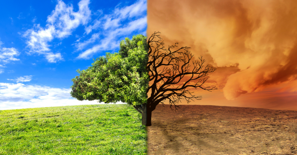 Sustainable Environment BenspPress