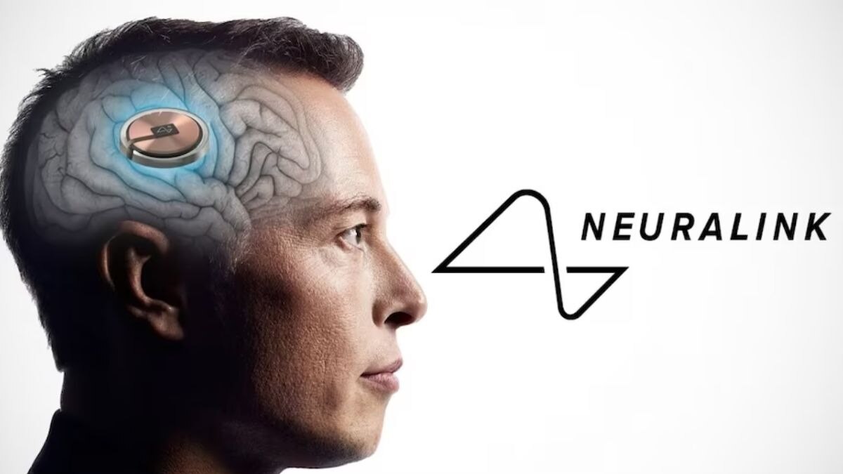 neurolimk