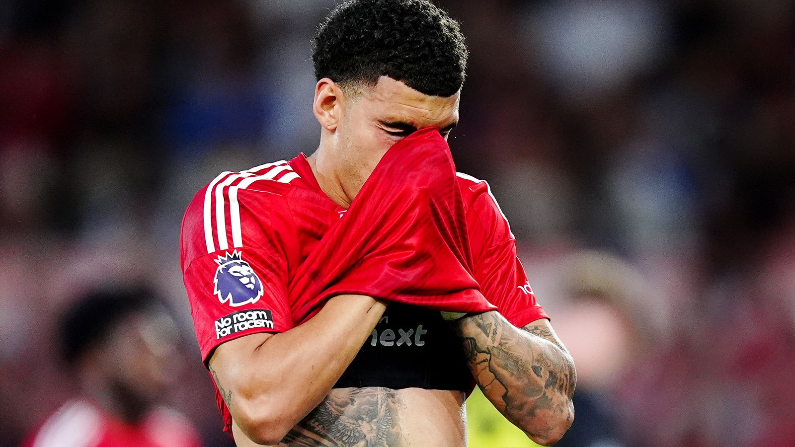 Gibbs-white
